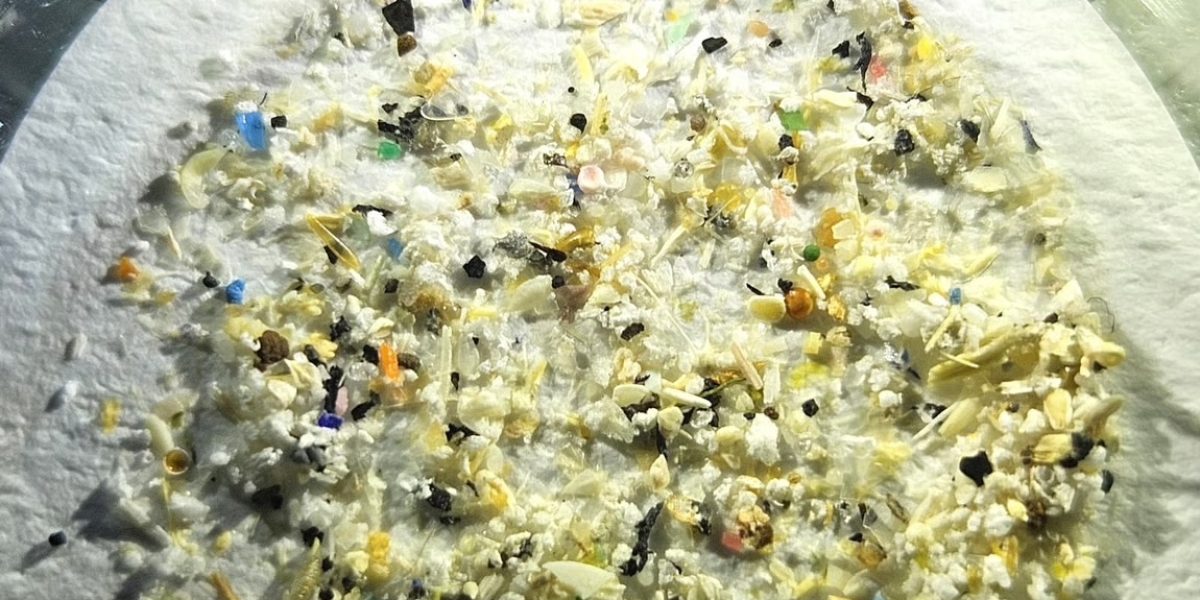Mikroplast