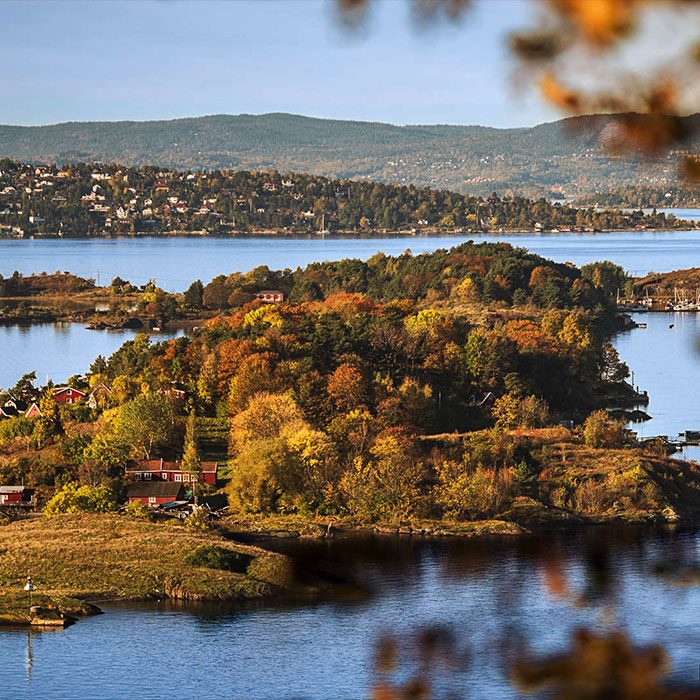 bakgrunn