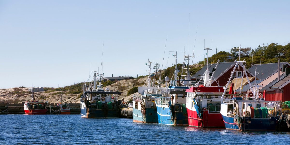 Fiskebåter fortøyd ved Utgårkilen på Hvaler. (Foto: Shutterstock)